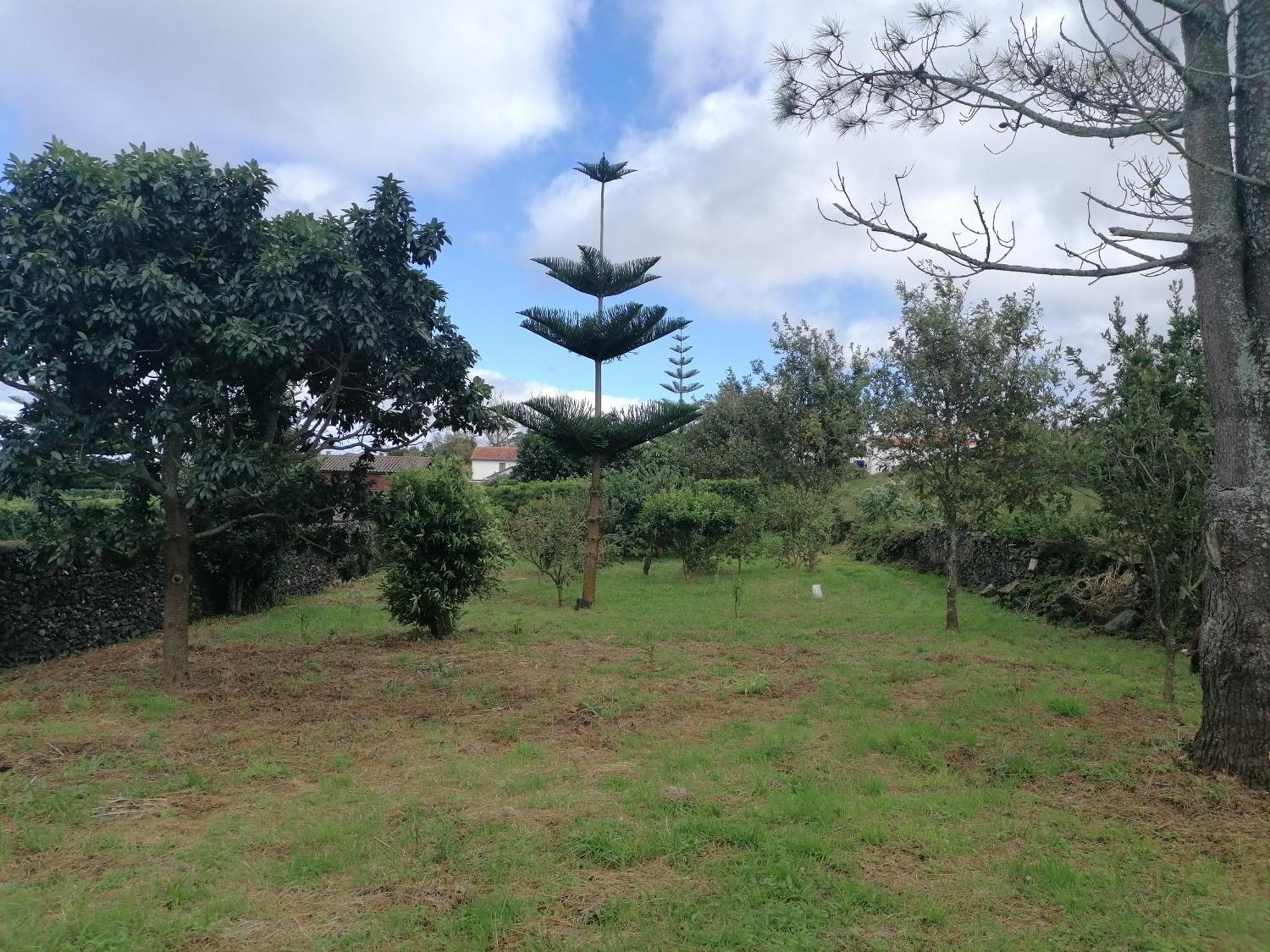 Espaco Roteiro De Mimos Sao Vicente Ferreira Exterior photo